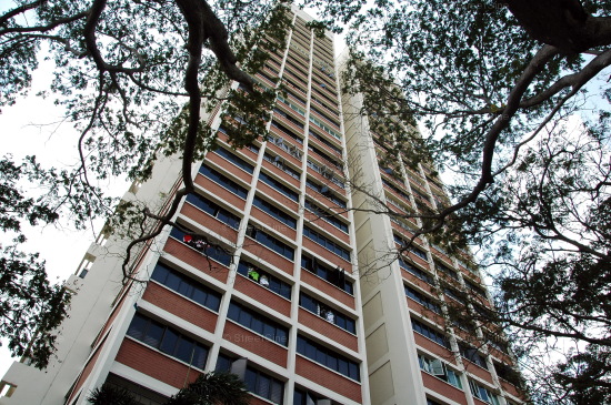 Blk 807 King George's Avenue (Kallang/Whampoa), HDB 5 Rooms #156362